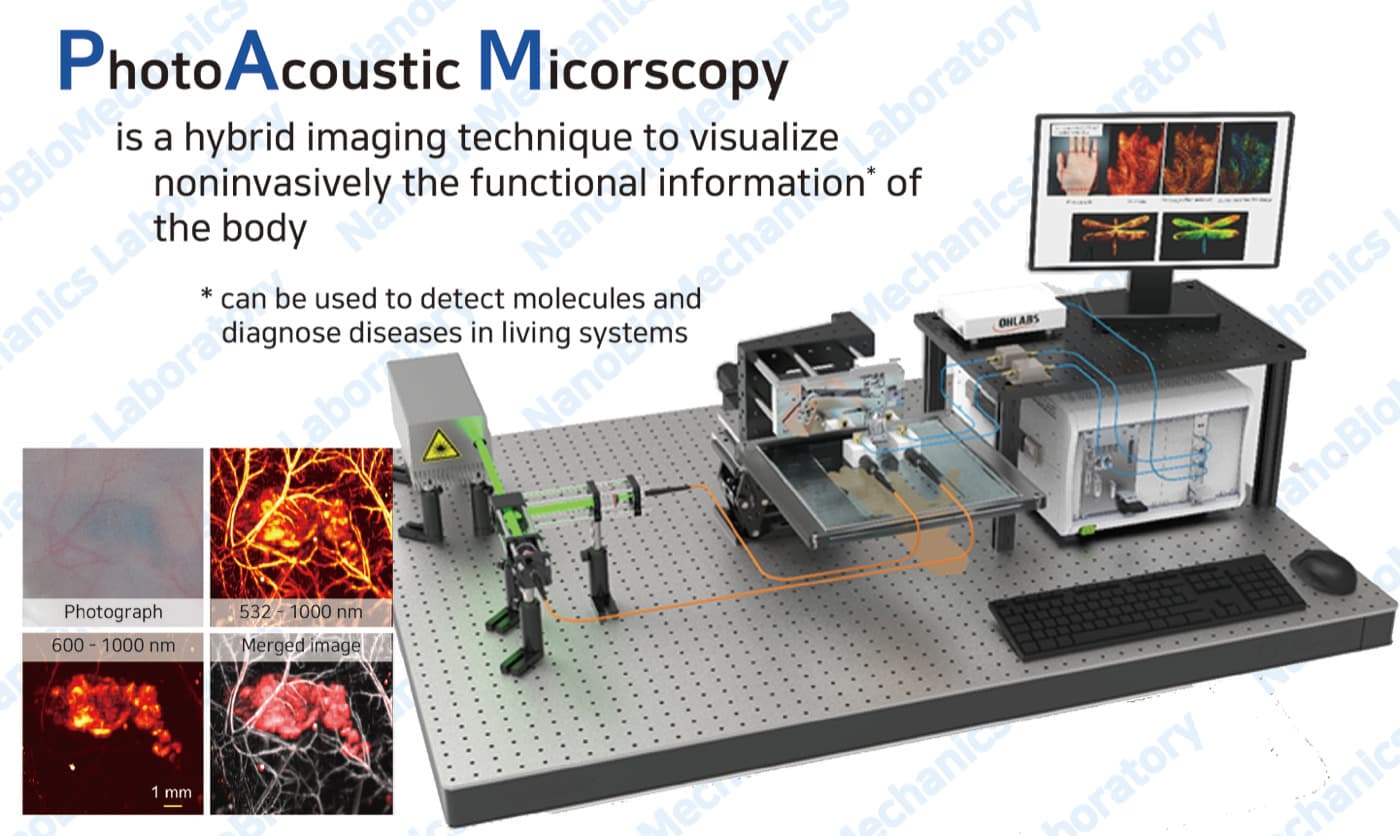 Photoacoustic Imaging technology preview